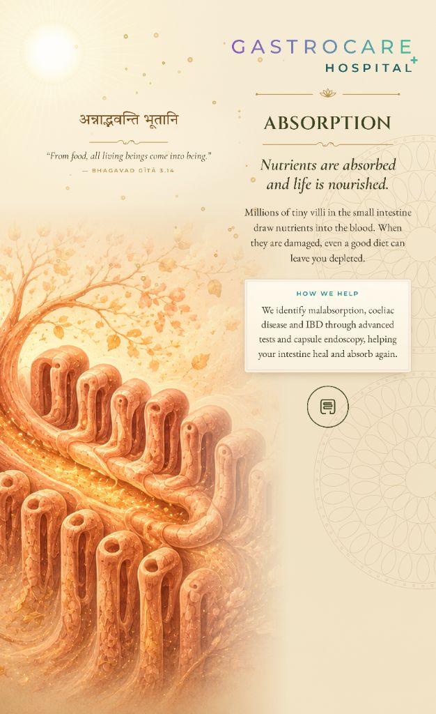 GastroCare Hospital artwork titled Absorption, showing the finger-like villi of the small intestine rising like branches beneath an autumn tree