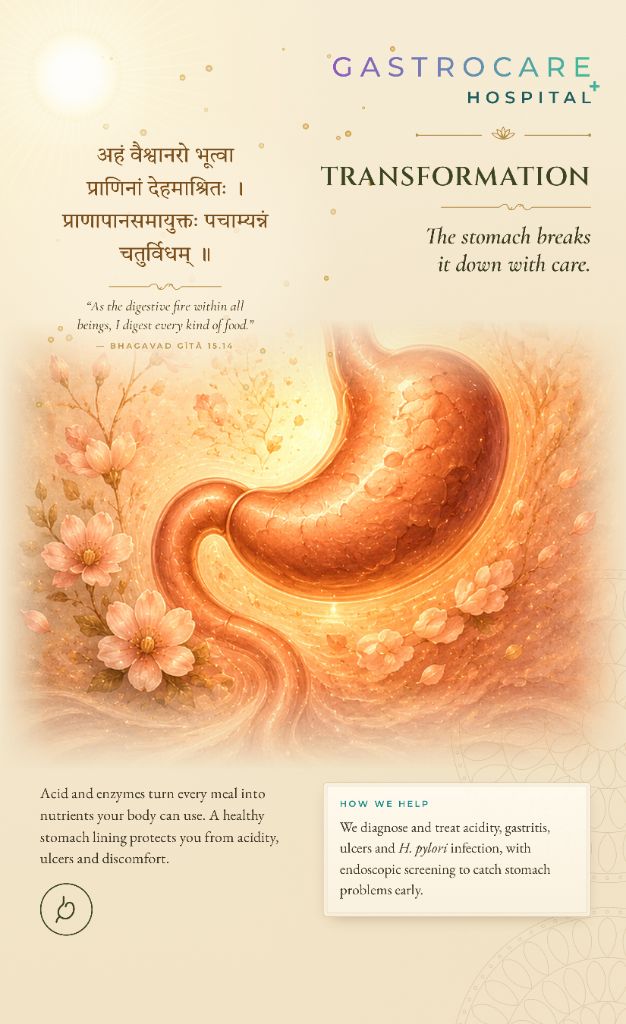 GastroCare Hospital artwork titled Transformation, showing a glowing anatomical stomach surrounded by warm light and peach blossoms